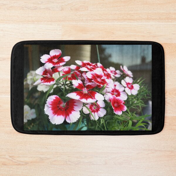 Item preview, Dianthus in full bloom. AKA Pinks designed and sold by Steven Cousley.