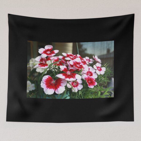 Item preview, Dianthus in full bloom. AKA Pinks designed and sold by Steven Cousley.
