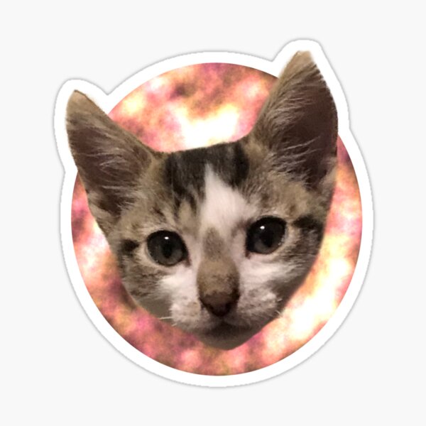 Katzenkonterfei mit rundem Hintergrund Sticker