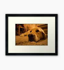 Max Framed Print