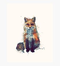 Fox Photographic Print
