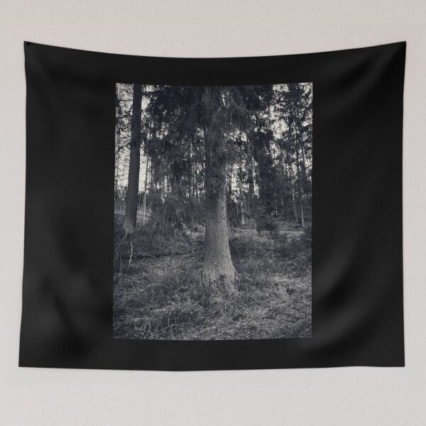 Item preview, The old spruce on the hillside designed and sold by Jouko Lehto Photography.