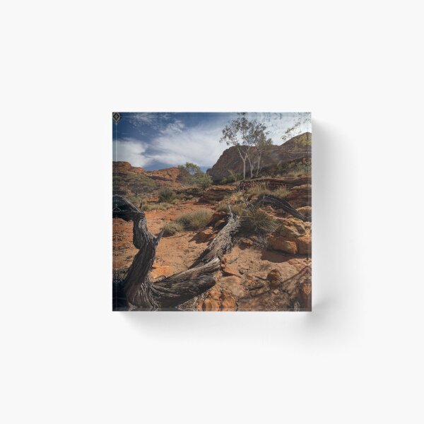 Artikelvorschau, Outback entworfen und verkauft von David Hibberd.