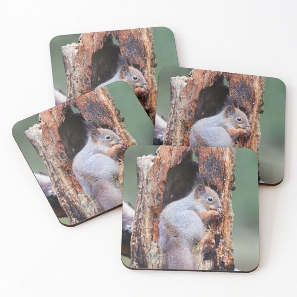Item preview, Filling the frame designed and sold by Jouko Lehto Photography.