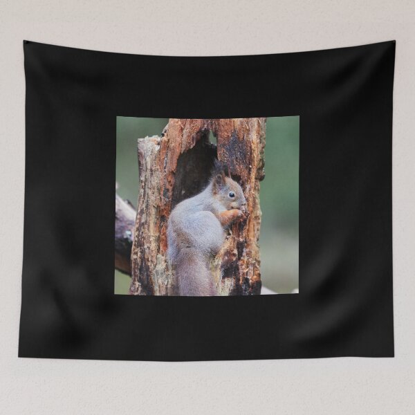 Item preview, Filling the frame designed and sold by Jouko Lehto Photography.