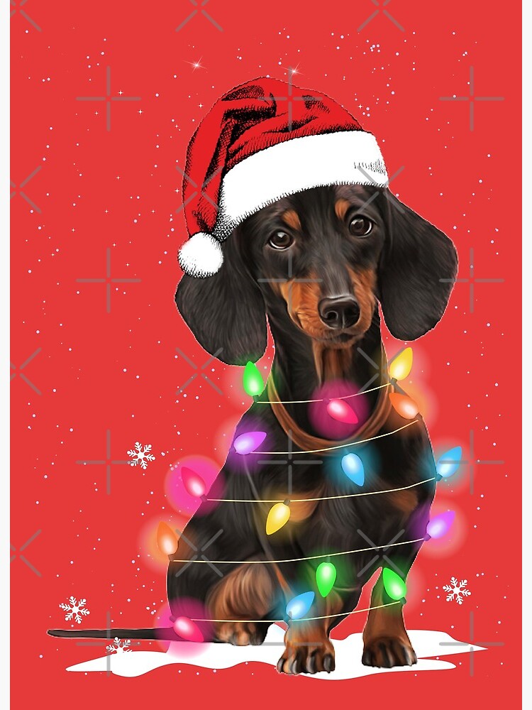 dachshund string lights