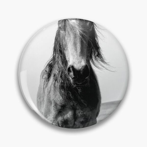 Item preview, Black & White Equine Portrait designed and sold by VnGphoto.