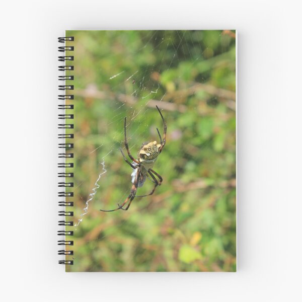 Item preview, Spider With Prey designed and sold by rhamm.