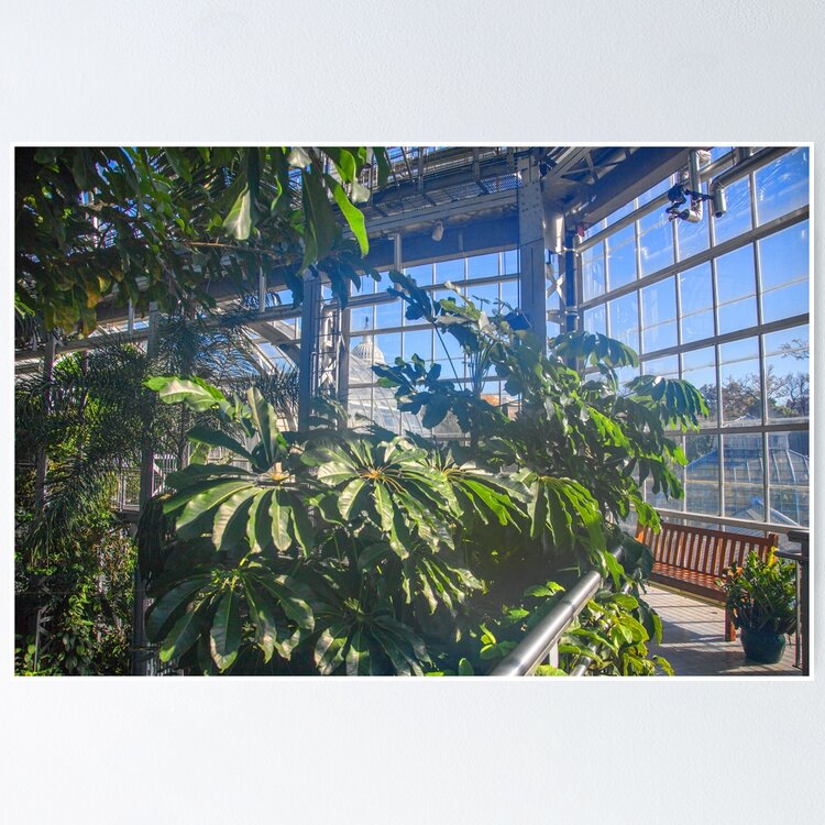 USA. Washington D.C., National Botanical Garden. Tropical Garden. Sticker