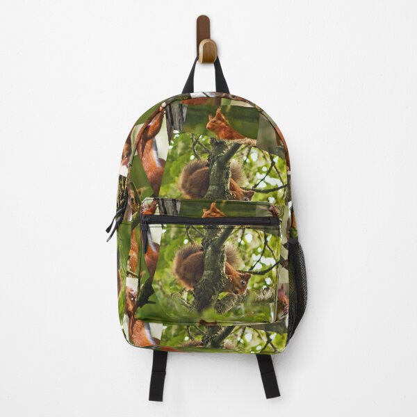 Item preview, Red Squirrels designed and sold by Liz Lane.