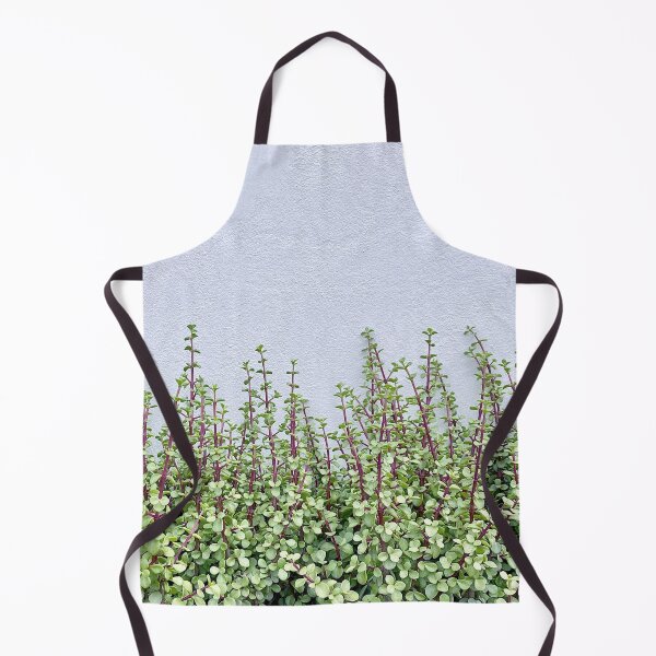 Item preview, Spekboom succulents agains white wall designed and sold by Gerhanj.