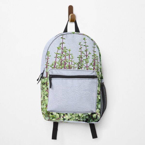 Item preview, Spekboom succulents agains white wall designed and sold by Gerhanj.