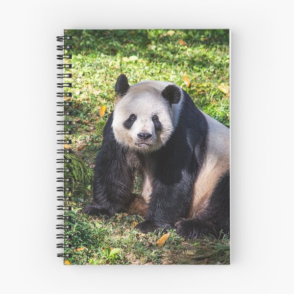 Item preview, USA. Washington D.C., National Zoo. Giant Panda Bei Bei. designed and sold by vadim19.