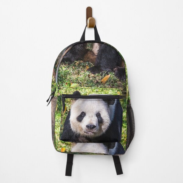 Item preview, USA. Washington D.C., National Zoo. Giant Panda Bei Bei. designed and sold by vadim19.