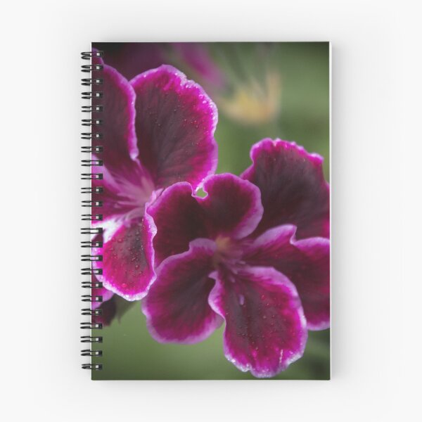 Item preview, Geranium flower Leith Park Victoria 20151113 0693   designed and sold by Fred Mitchell.
