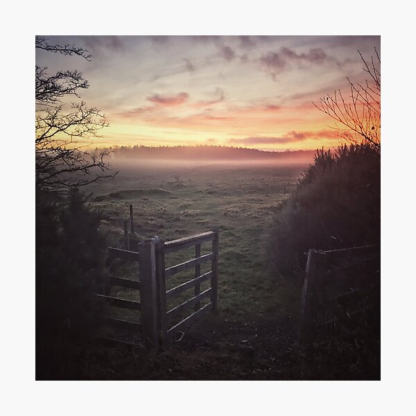 The Way Ahead. Photographic Print