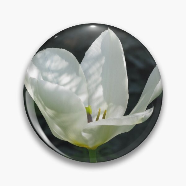 Artikelvorschau, Tulpe im Schattengarten entworfen und verkauft von MarjorieB.