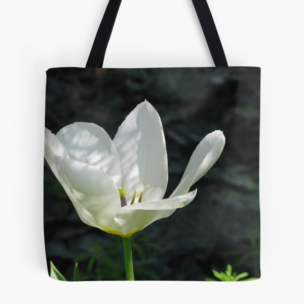 Item preview, Tulip in the Shade Garden designed and sold by MarjorieB.