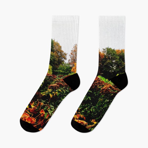 Artikelvorschau, Herbstliche Landschaft entworfen und verkauft von OMdesigns93.