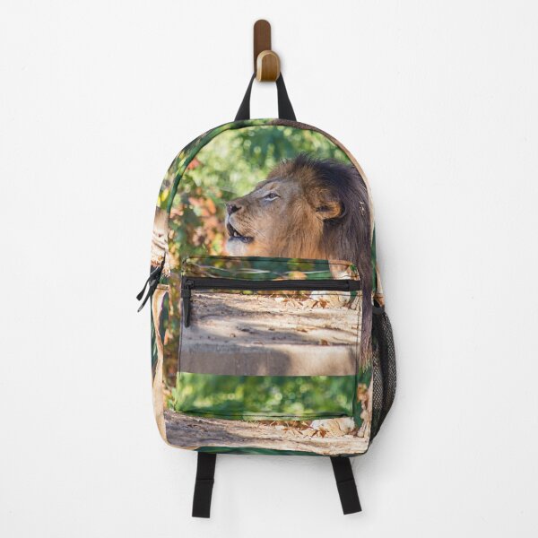 Item preview, USA. Washington D.C., National Zoo. Lion King. designed and sold by vadim19.