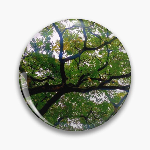 Item preview, Tree branches designed and sold by OMdesigns93.