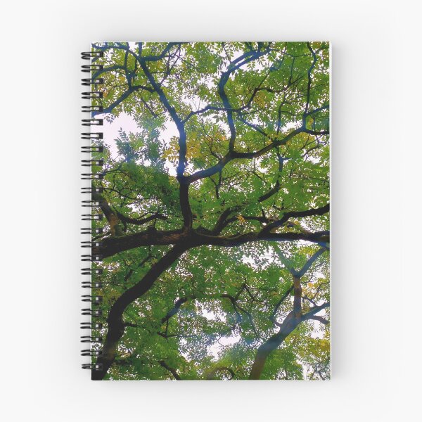 Item preview, Tree branches designed and sold by OMdesigns93.