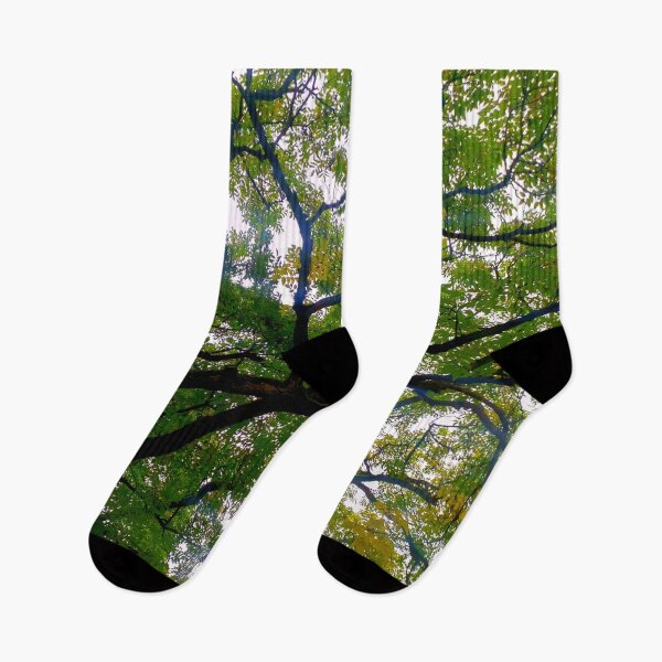 Item preview, Tree branches designed and sold by OMdesigns93.