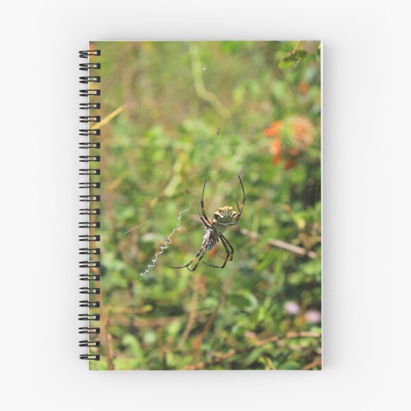 Item preview, A Spider in a Web designed and sold by rhamm.
