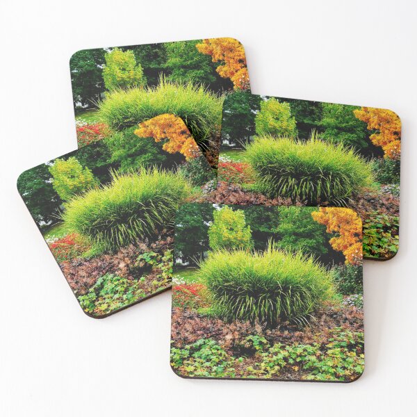 Item preview, Thorn bushes designed and sold by OMdesigns93.