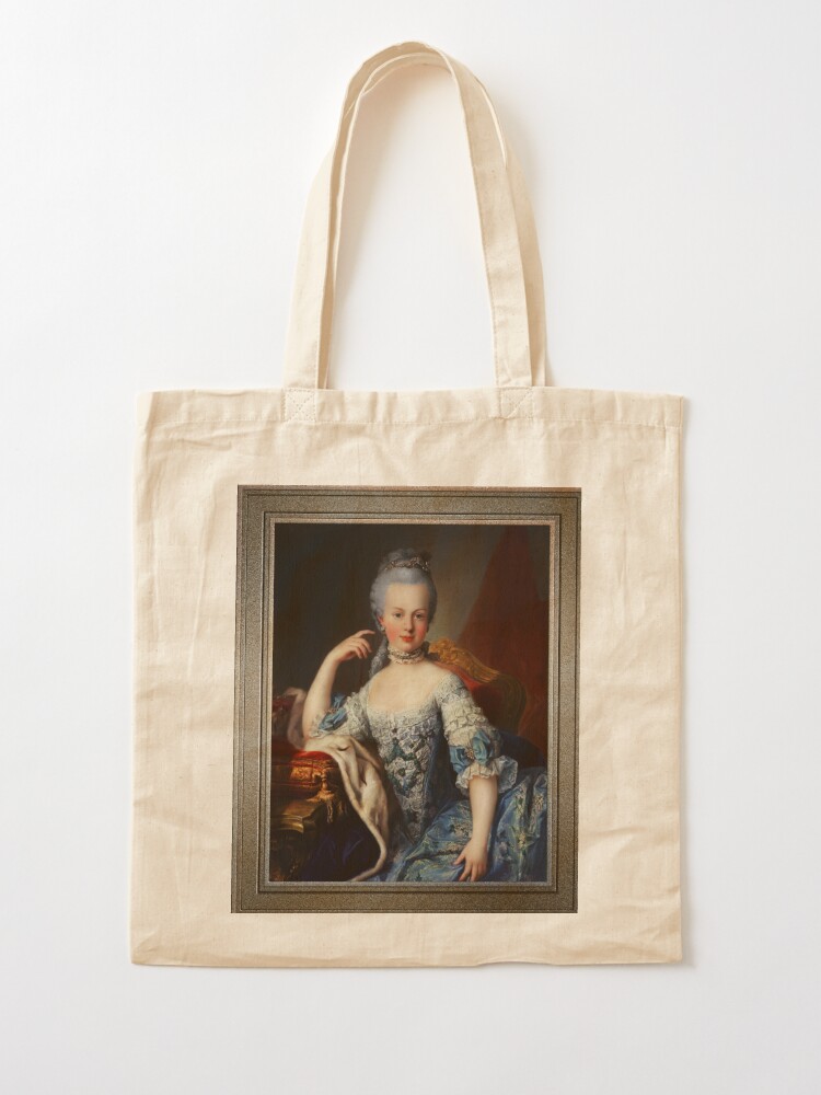 Portrait Of Marie Antoinette of Austria by Martin van Meytens