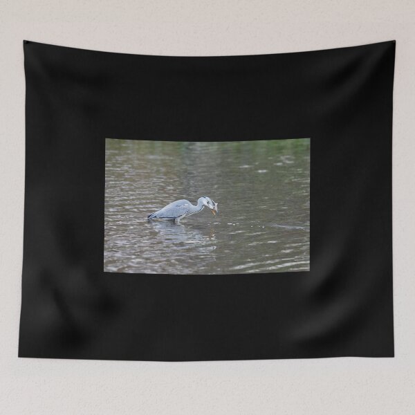 Item preview, The catch still kicking. Grey heron designed and sold by Jouko Lehto Photography.