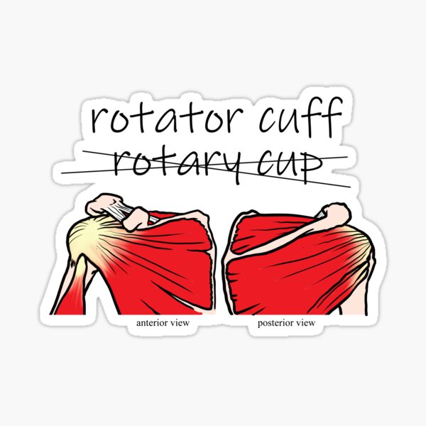 "Rotator Cuff NOT Rotary Cup" Sticker for Sale by milesromney Redbubble