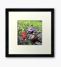 Rattata Chows Down! Framed Print