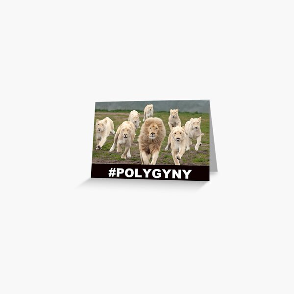 Polygyny lions Greeting Card