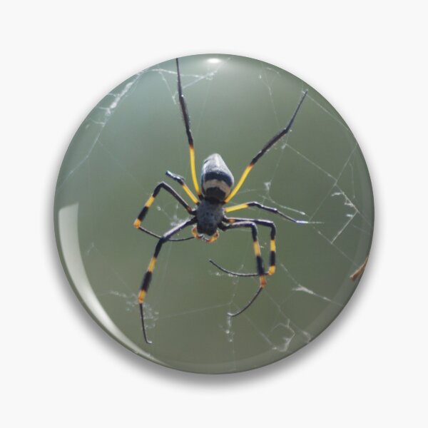Item preview, Spider Salad designed and sold by justbmac.