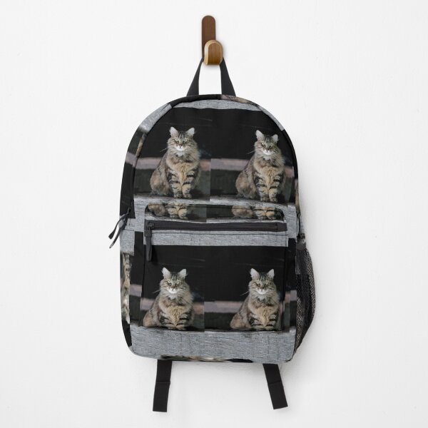 Item preview, r 2525/ 1 Chat-Cat " Marquise " finition 2020 par Okaio Créations - Olavia&Olao designed and sold by o.okaïo.
