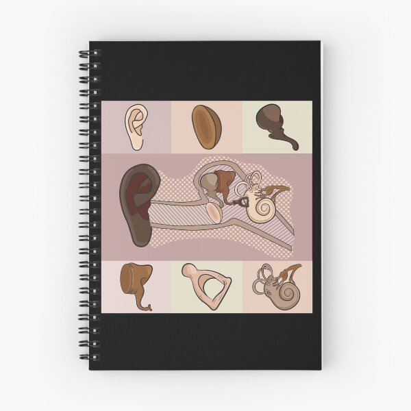 Item preview, Outer, Middle, and Inner Ear Anatomy Neutral Illustration  designed and sold by StacyAnnDesigns.
