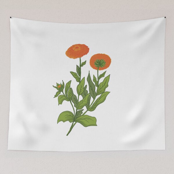 Item preview, Calendula botanical drawing designed and sold by Luaillustration.