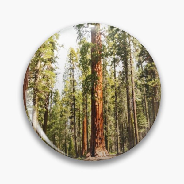 Item preview, Redwood National Park designed and sold by Ingeniumcust.