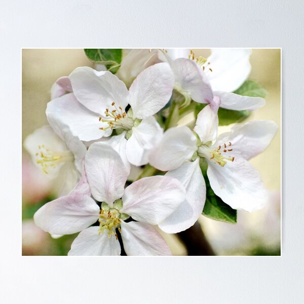 Item preview, Spring Awakening designed and sold by Kathilee.