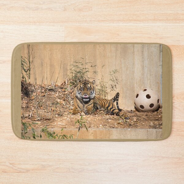 Item preview, USA. Washington D.C., National Zoo. Tiger with his Plastic Ball. designed and sold by vadim19.