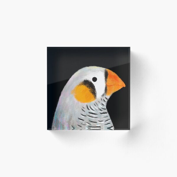 Zebra Finch Bird Acrylic Block