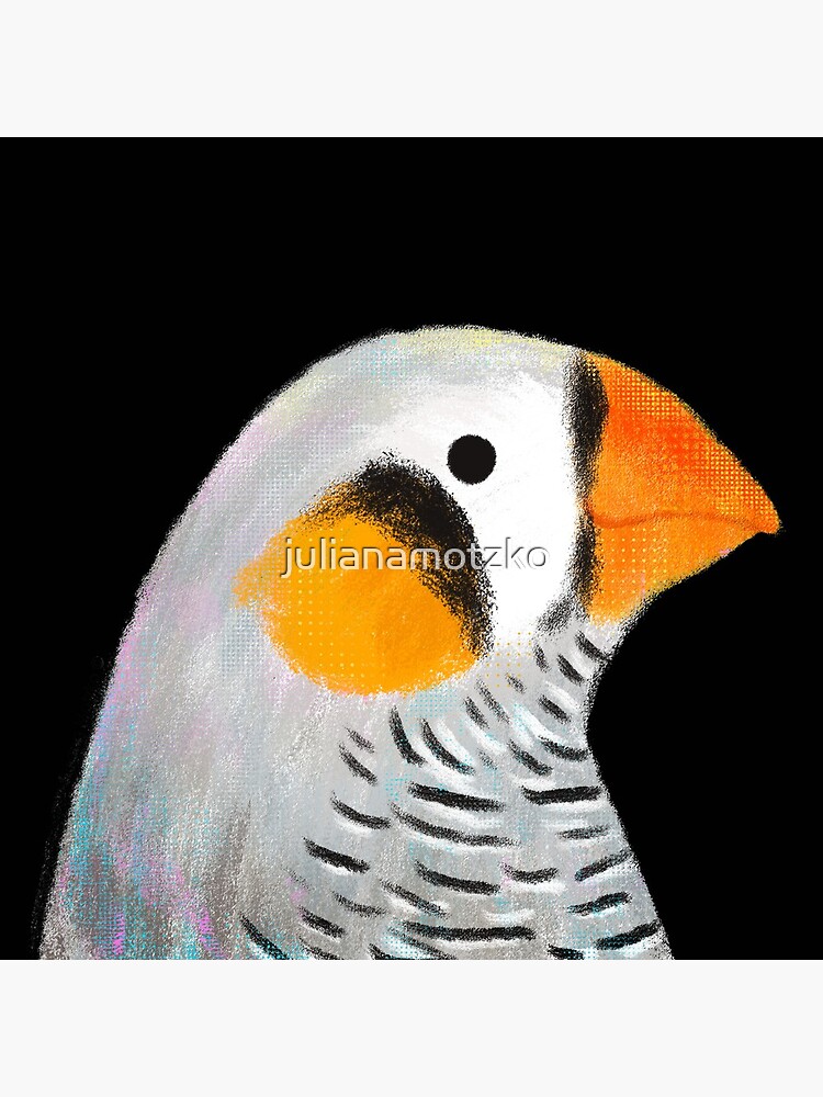 Zebra Finch Bird by julianamotzko