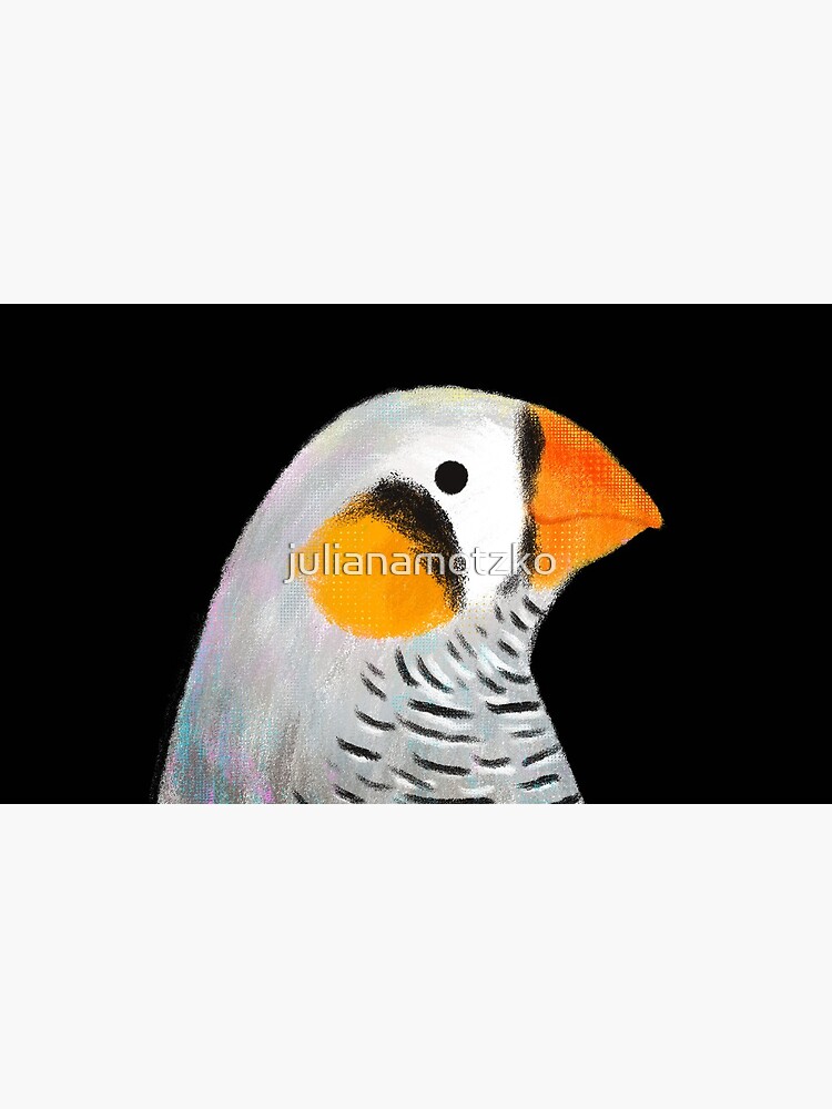 Zebra Finch Bird by julianamotzko
