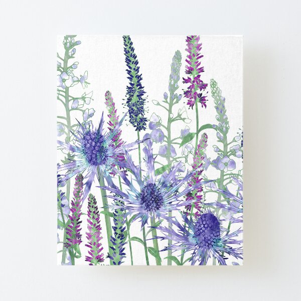Sea Holly & Veronica Flowers Canvas Mounted Print