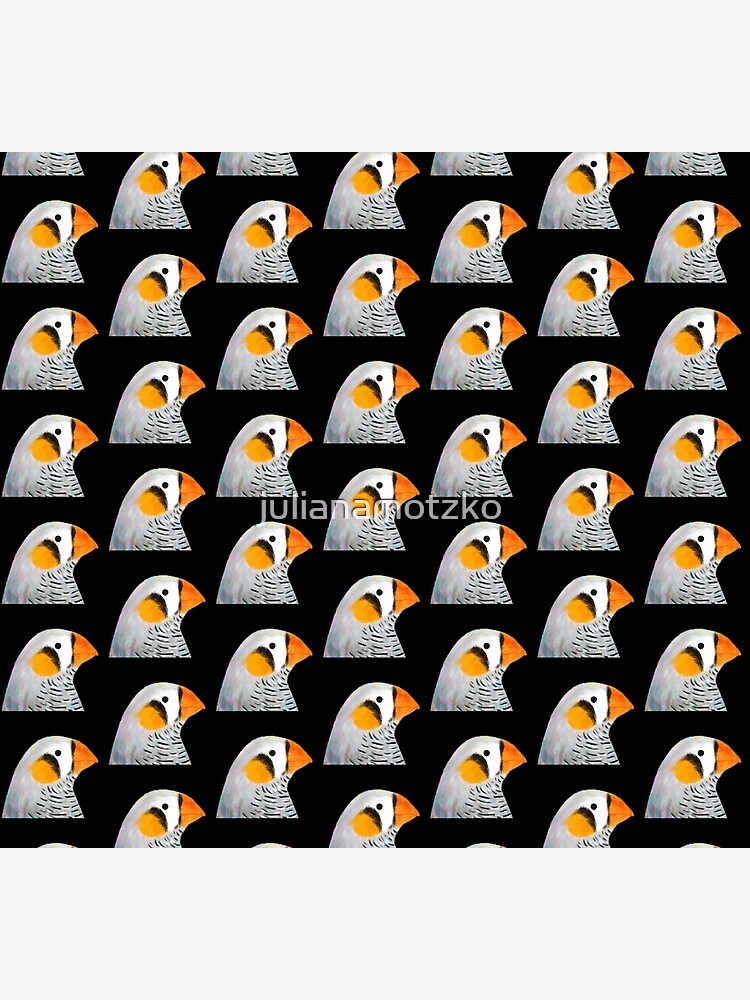 Zebra Finch Bird by julianamotzko