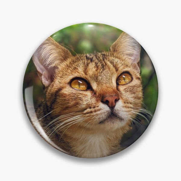 Item preview, Gato atigrado en verde designed and sold by KittySwag.