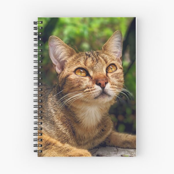 Item preview, Gato atigrado en verde designed and sold by KittySwag.