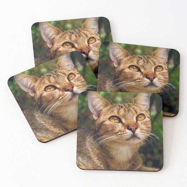 Artikelvorschau, Tabby Katze in Grün entworfen und verkauft von KittySwag.