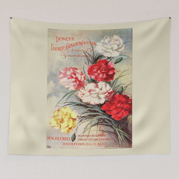 Item preview, Carnations - Buckbee Seed 1896 designed and sold by killies.